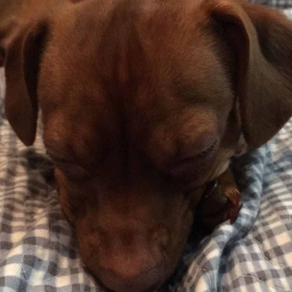 Meet your Posher, Denise